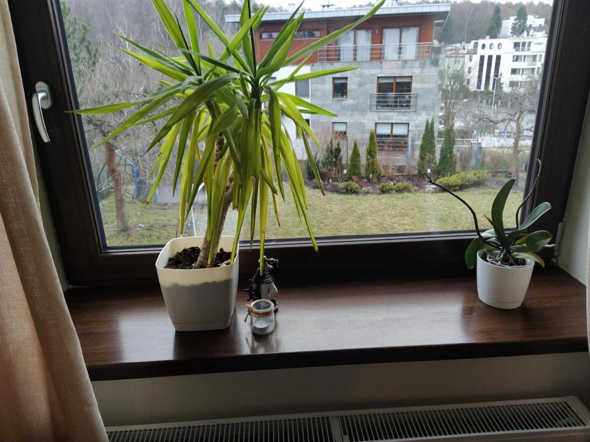 Apartament Z Tarasem Gdynia Eksteriør billede